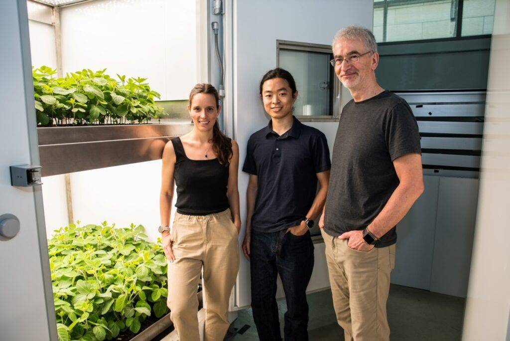 TUMCREATE Securing our Food Future with Controlled Environment Agriculture